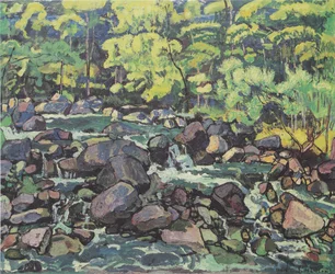 Forest Stream near Champéry